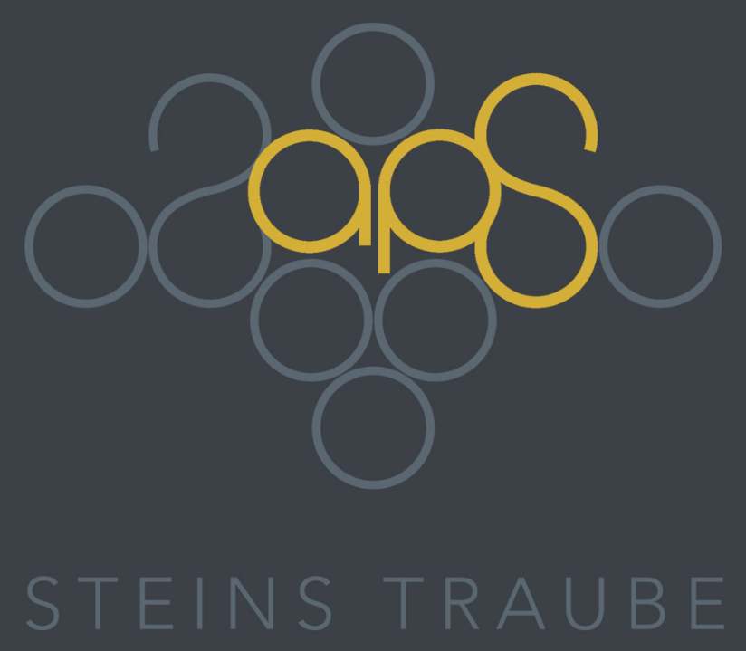 Logo 2 Stein.png