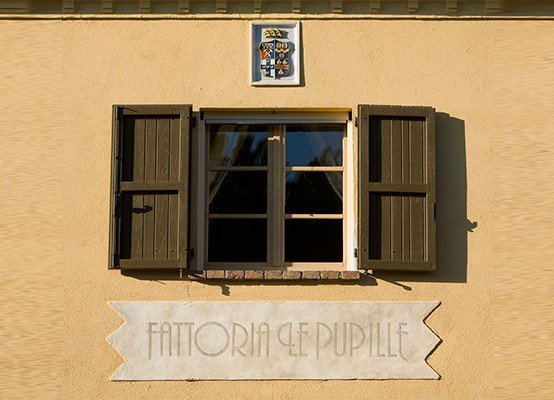 idea_02.jpg Le Pupille.jpg klein.jpg